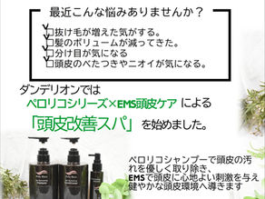 新 頭皮改善スパ