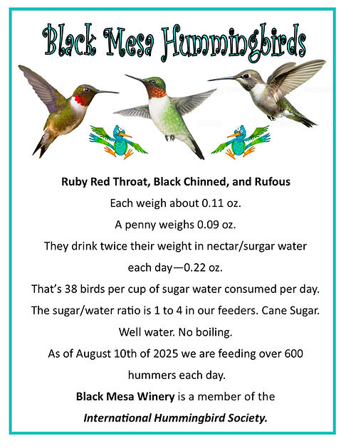 Hummingbirds.jpg