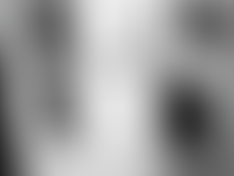 Ferragamo en la Met Gala 2025