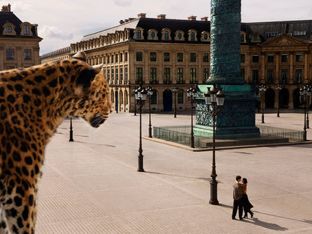 CARTIER: UNA HISTORIA DE AMOR SIN LÍMITES