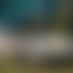 Porsche Panamá celebra la XIII edición del Concurso de Elegancia