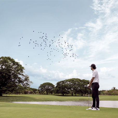 Buenaventura Riviera Pacífica