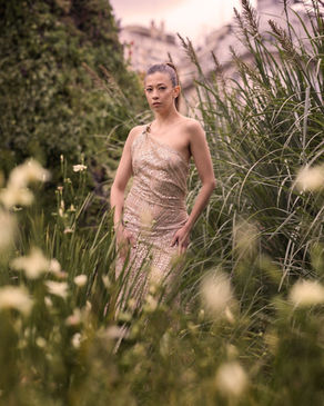 Show de VISUETTI presentado por Copa Airlines