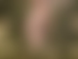 Show de VISUETTI presentado por Copa Airlines
