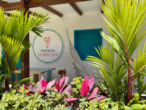 Posada La Langosta: el encanto de la sencillez, el buen gusto y el confort en Los Roques