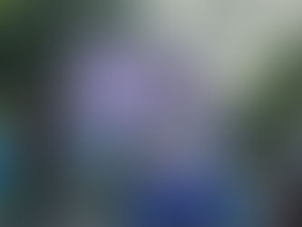 Samsung lleva la inteligencia artificial a la muñeca en el Panama International Half Marathon 2025