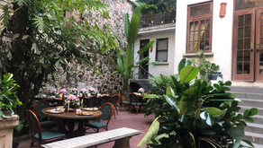 Mahalo Cocina & Jardín: ¡Vive momentos especiales!