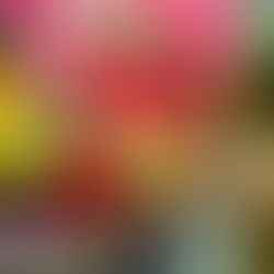 Barranquilla, el nuevo destino culinario de Colombia