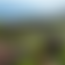 La Coralina Island House: Una sublime experiencia de vida