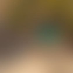 VIRGIN LIMITED EDITION PRESENTA LA EXPERIENCIA DEFINITIVA DE SAFARI EN KENIA: DOS CAMPAMENTOS ICÓNICOS, UN VIAJE EXTRAORDINARIO