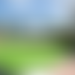 Park and Padel: Un espacio familiar y exclusivo en el corazón de Obarrio