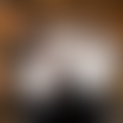 Chefs de Bella Holdings Group: Creadores de obras artísticas que seducen paladares