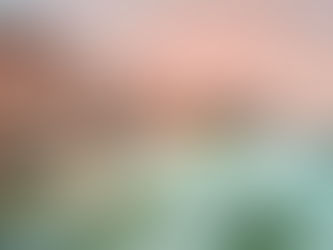 Aterriza en el Paraíso, Copa Airlines lanza la primera ruta directa, desde Panamá, que unirá a Los Cabos con Latinoamérica