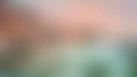 Aterriza en el Paraíso, Copa Airlines lanza la primera ruta directa, desde Panamá, que unirá a Los Cabos con Latinoamérica