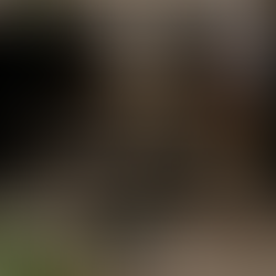 Niku Panamá: Mezcla perfecta entre comida asiática y peruana con un toque caribeño