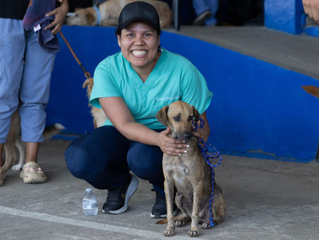 Misión Patitas alcanza las 5,000 esterilizaciones y anuncia nueva jornada en Colón