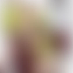 PRESENTAMOS LA CAMPAÑA GUCCI ANCORA