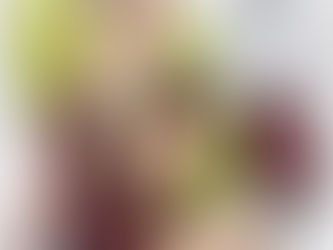 PRESENTAMOS LA CAMPAÑA GUCCI ANCORA