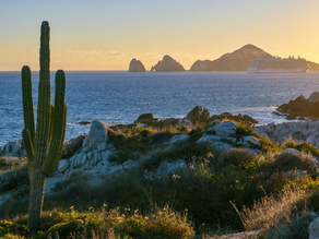 Los Cabos, el lujo salvaje de México
