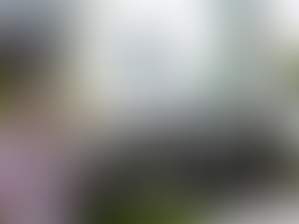 Llegan a Panamá dos vehículos que apuestan por el segmento de la agroindustria