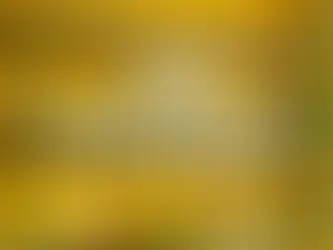 World Class Competition regresa celebrando la coctelería local y sostenible en la región