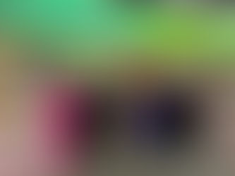 Costa Rica promueve la diversidad de su oferta exportable en EXPOCOMER 2024