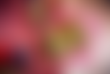 Franquicias que reinventan el fast food: sabor, diseño y experiencia en expansión