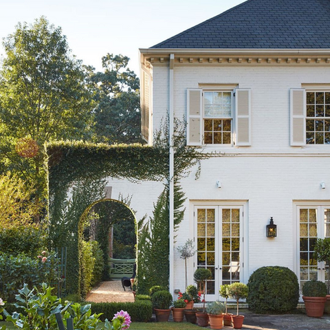 House covered in lush vines
