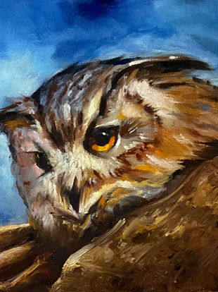 Portrait of an Owl