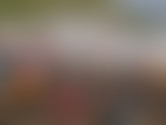 Humanitarian Crisis in Congo