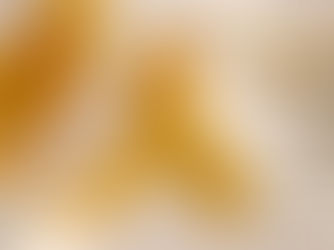 Agosto Laranja e Dourado
