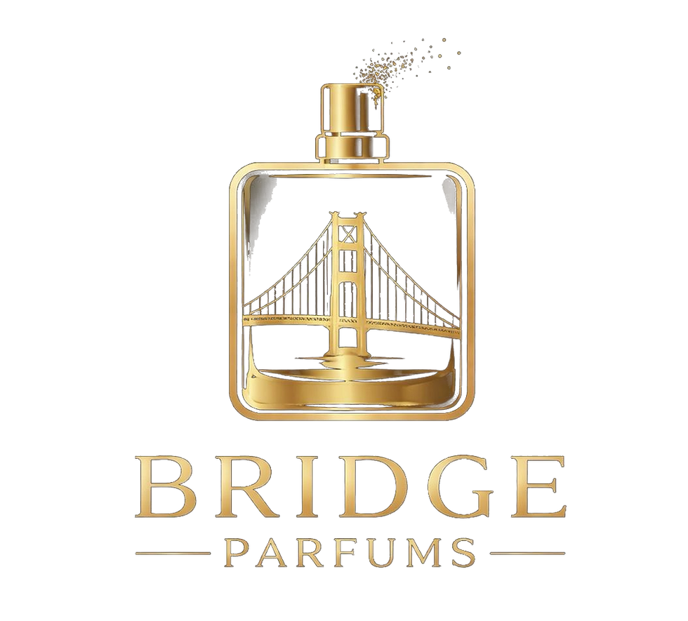 logo_bridge_sem_fundo (1).png