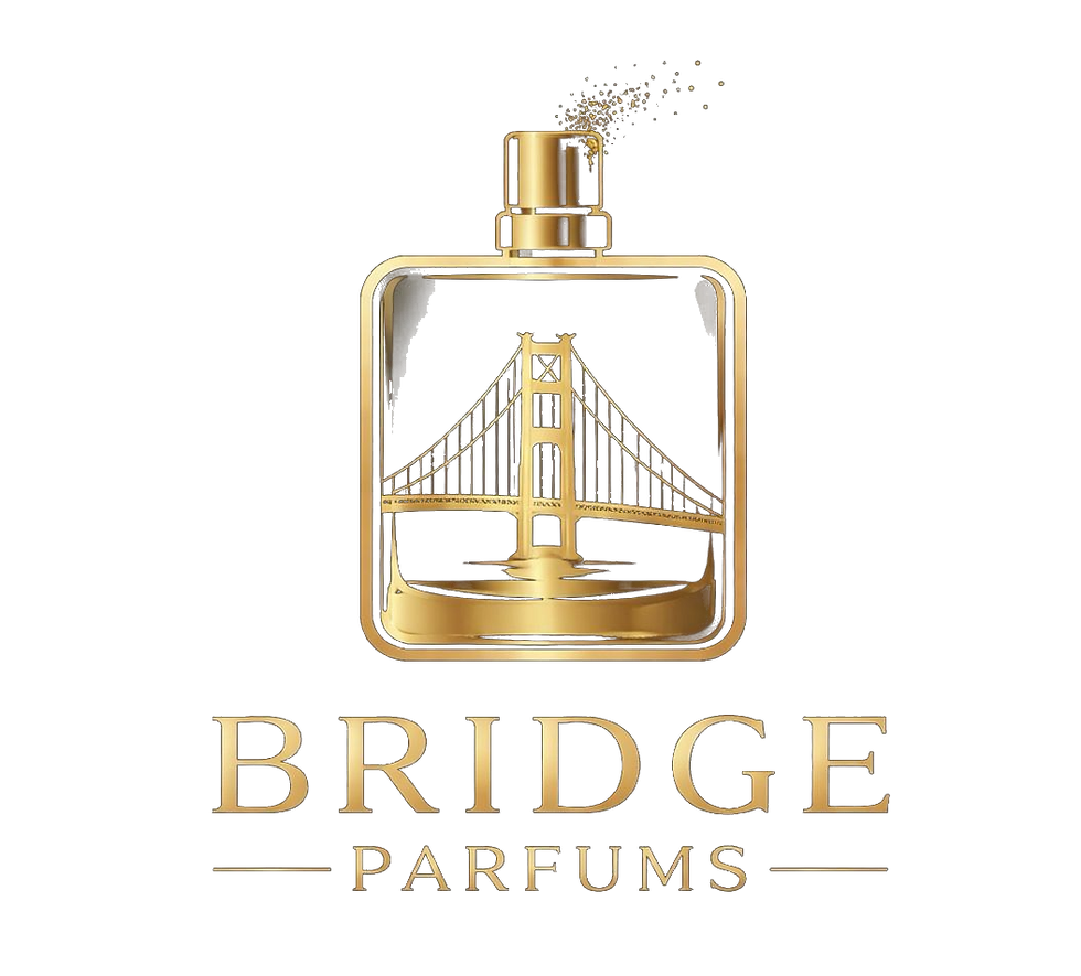 logo_bridge_sem_fundo (1).png