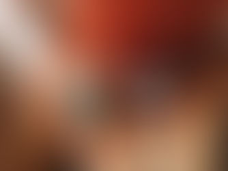 Agroforestree: quando regenerar deixa de ser discurso e vira impacto real