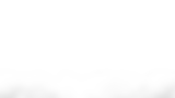 Banner Brigde (4).png