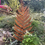 Thumbnail: Rusty Metal Rustic Garden Sculpture Fern Leaf