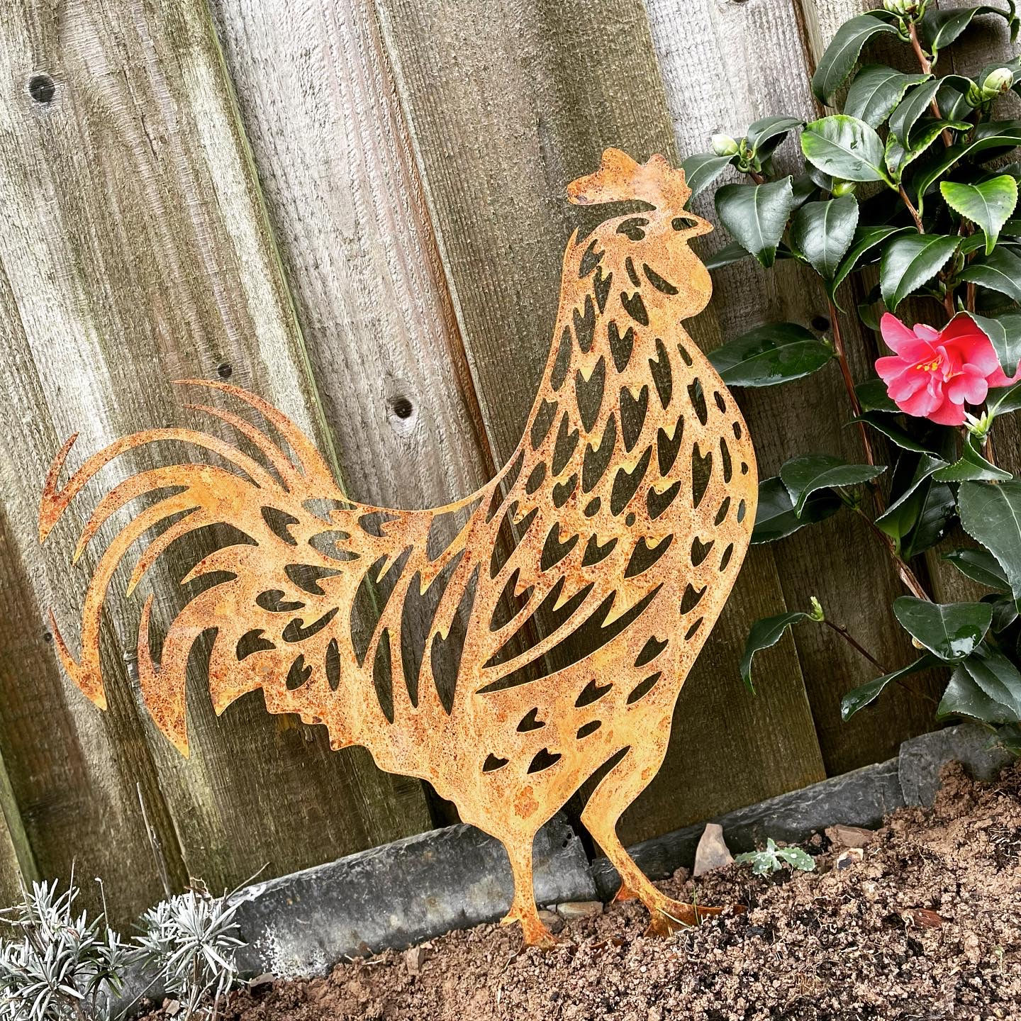 Rusty Cockeral Metal Rustic Garden Sculpture Design Gift