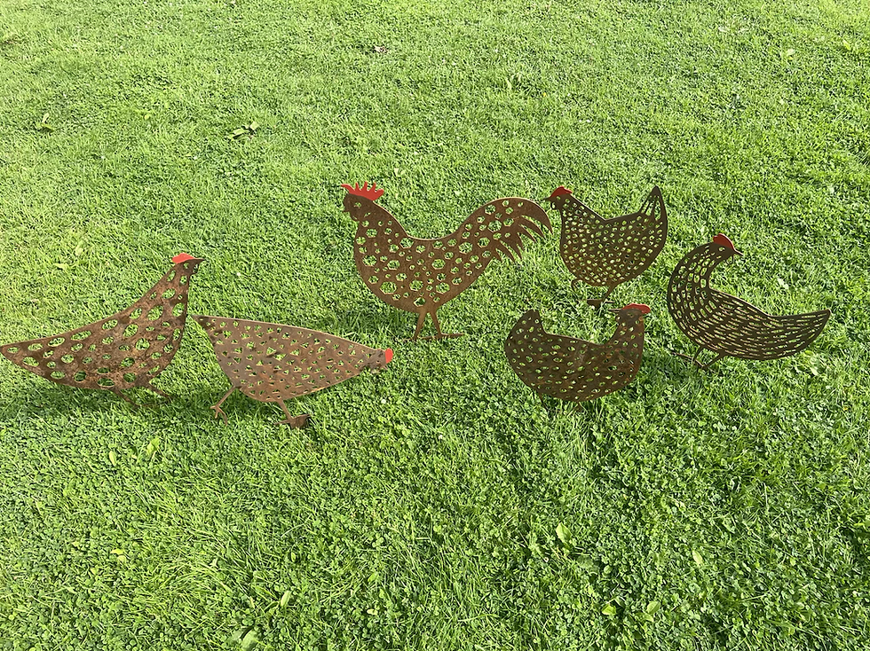 Thumbnail: Rusty Rooster Metal Chicken Marvin Rustic Garden Sculpture Chickens
