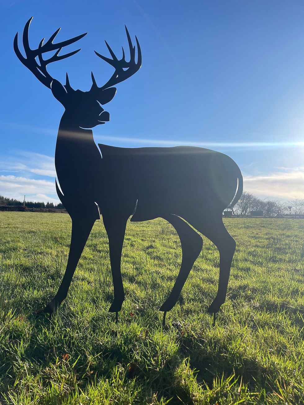Thumbnail: Large Rustic Stag