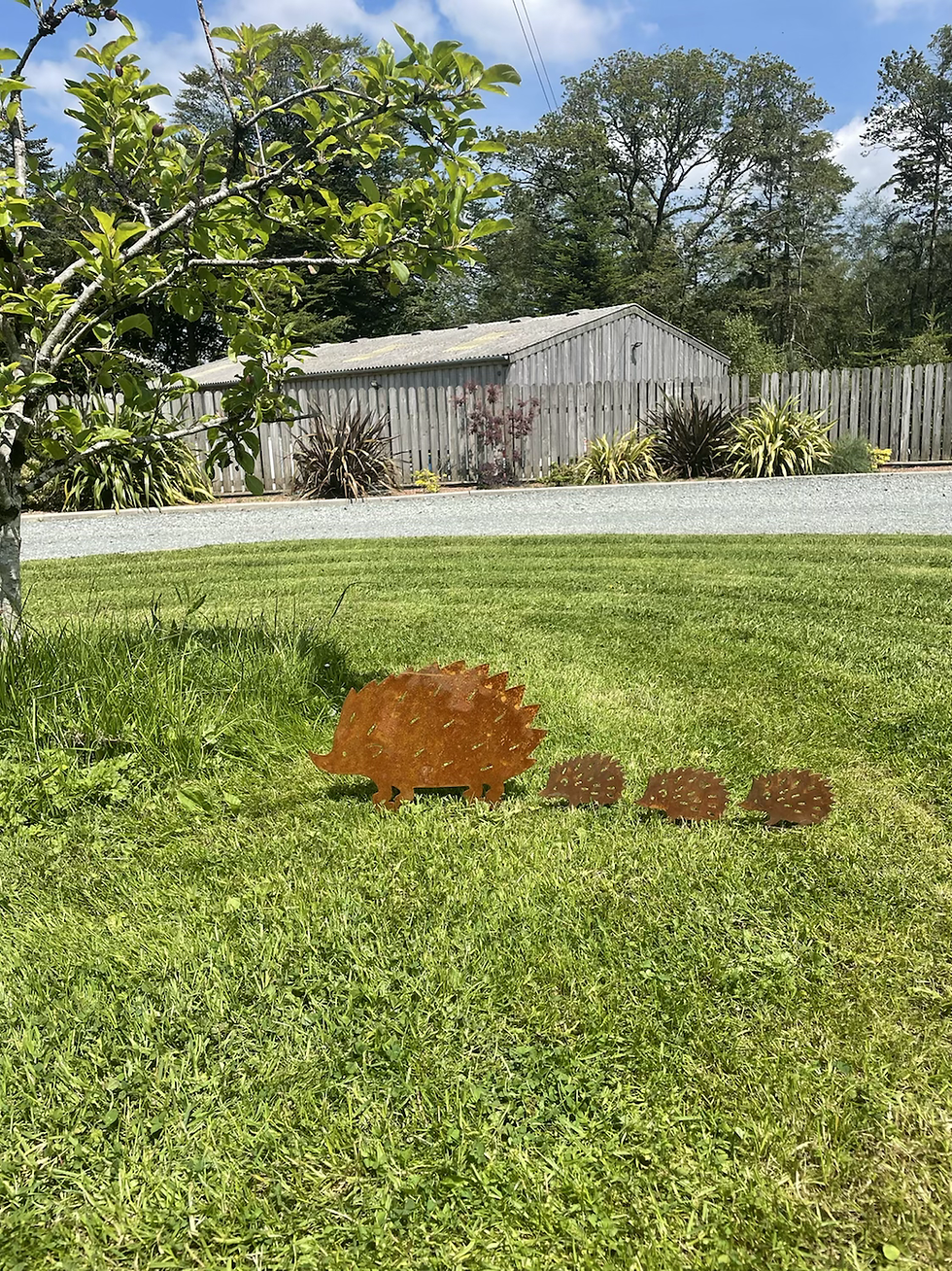 Thumbnail: Rusty Metal Rustic  Hedgehog Family Garden Sculpture Flower Design Gift