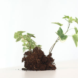 Strategic Business Growth Initiatives (Sales Growth Strategy)