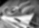 IMG_2161_edited.jpg