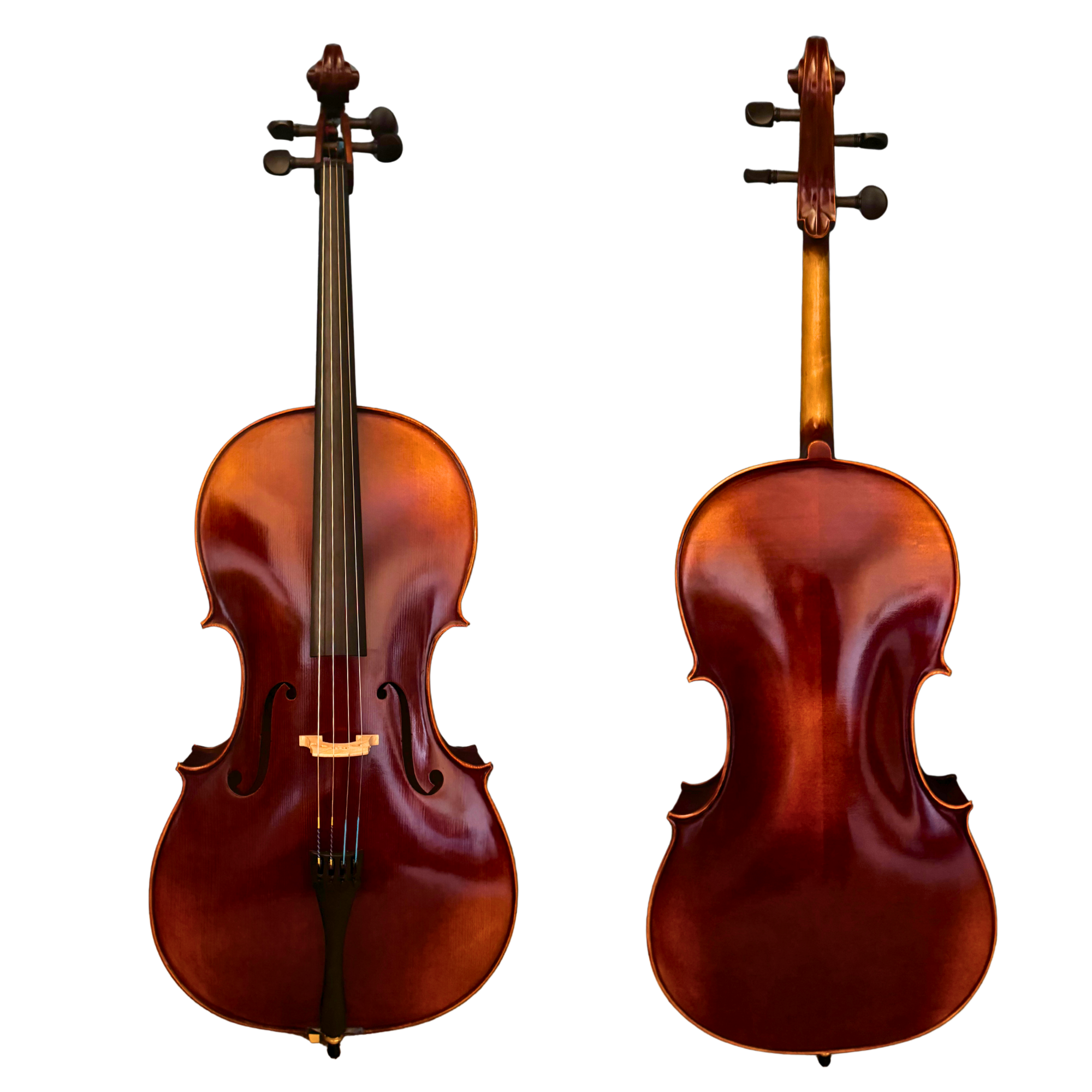 ZS Strings Student Series Cello – CLO 100