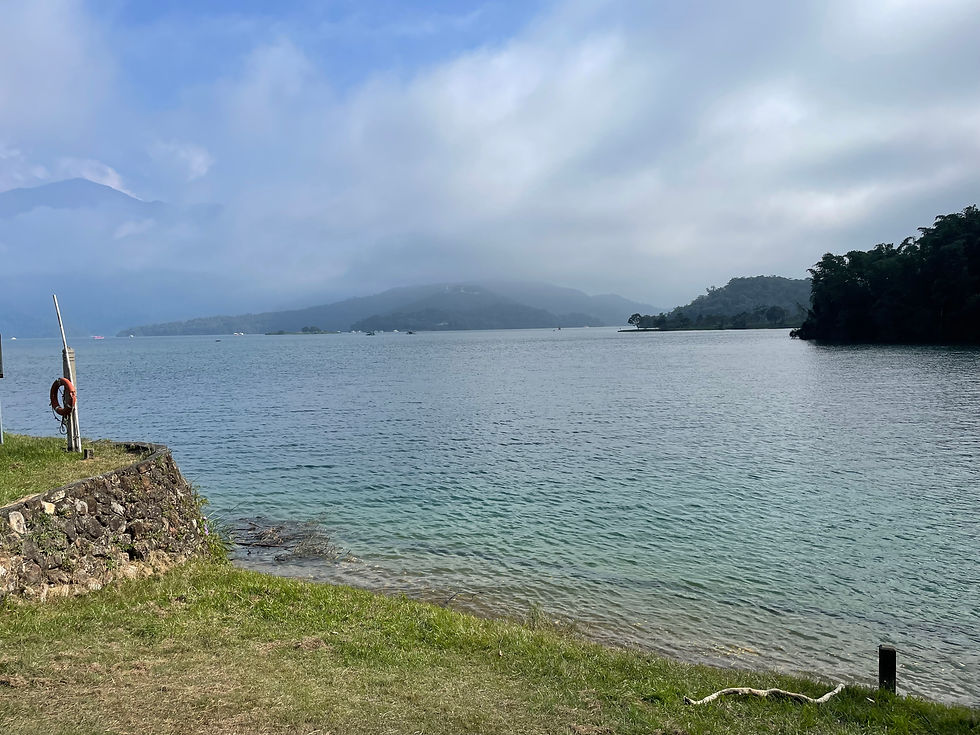 椰子油