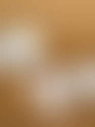 100% CARDBOARD CAP FOR AEROSOL CANS: AN ECO-FRIENDLY REVOLUTION