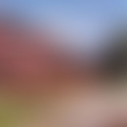 On The Horizon - May 24, 2024