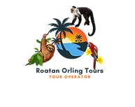 Orange Island Travel Agency Logo (1).png