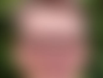 Newsletter Nr.1 2022