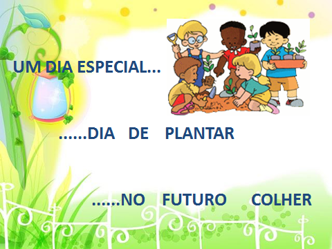 moringa2 - Cópia