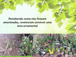 plantas3